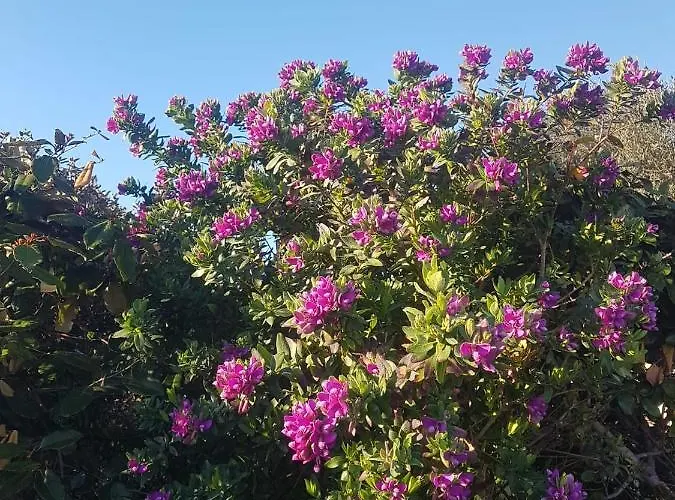 Cala D'oro ヴィラ