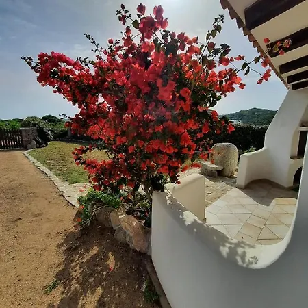 Cala D'oro * 산타테레사의갈루라