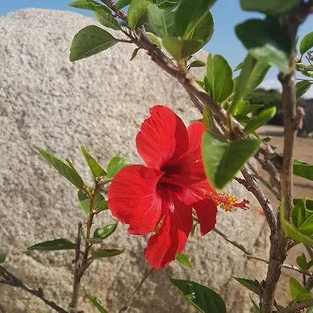 Cala D'oro *
